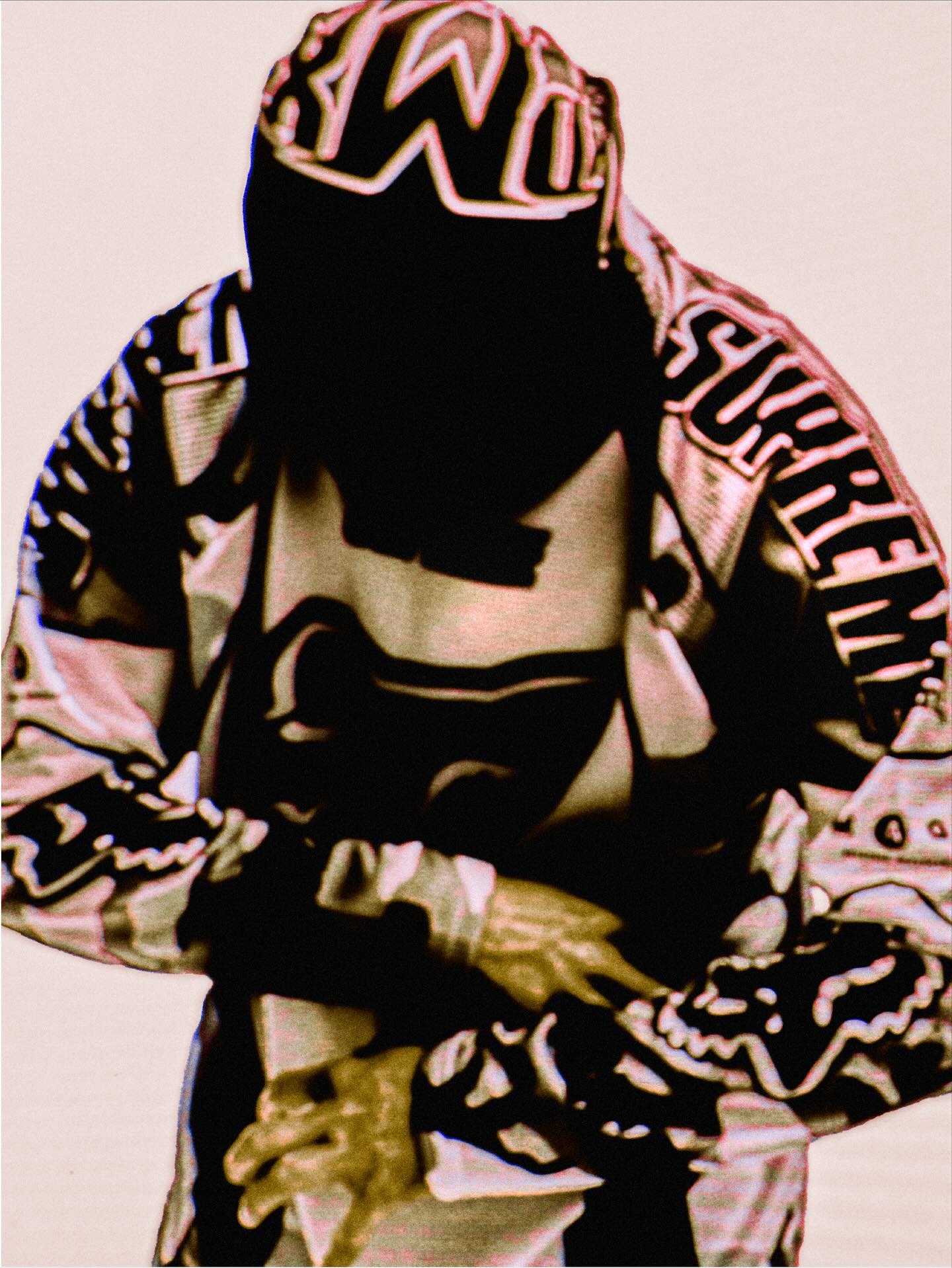 Supreme X Fox by Thibaut Grevet — 4/19