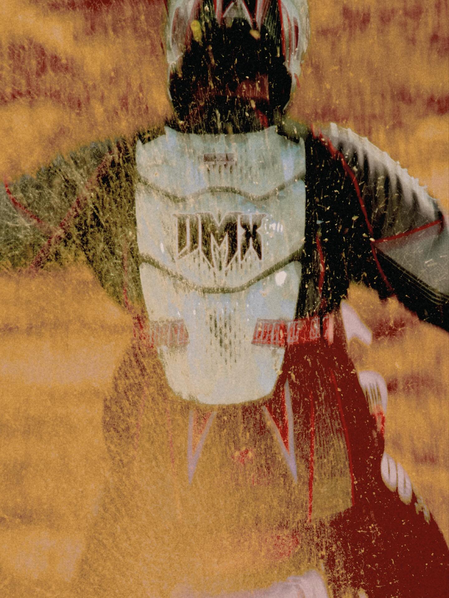 Supreme X Fox by Thibaut Grevet — 14/19